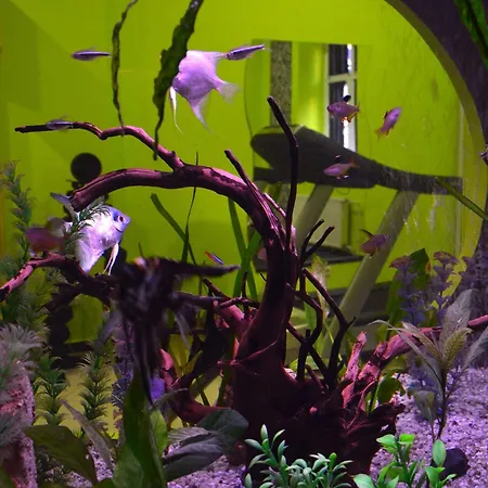 Hotel Belgrade City Hotel 4*